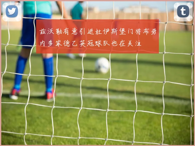 兹沃勒有意引进杜伊斯堡门将布劳内多家德乙英冠球队也在关注