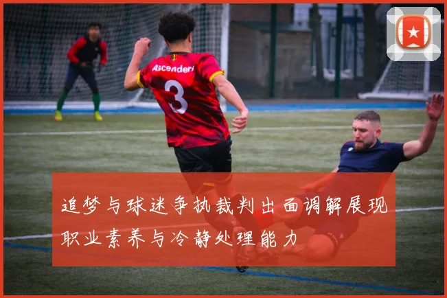 追梦与球迷争执裁判出面调解展现职业素养与冷静处理能力